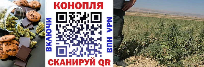 где продают   Шебекино  Еда ТГК конопля 