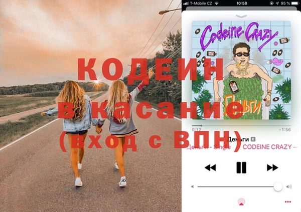 твердый Новозыбков