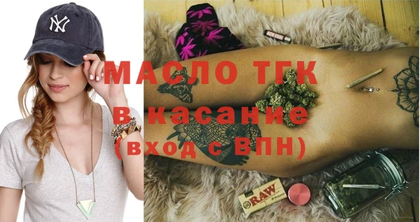 твердый Новозыбков