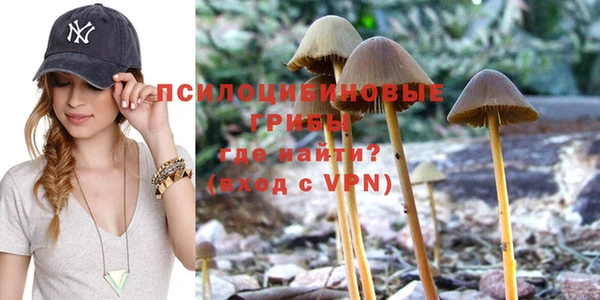 прущие грибы Баксан