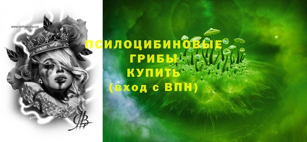 твердый Новозыбков