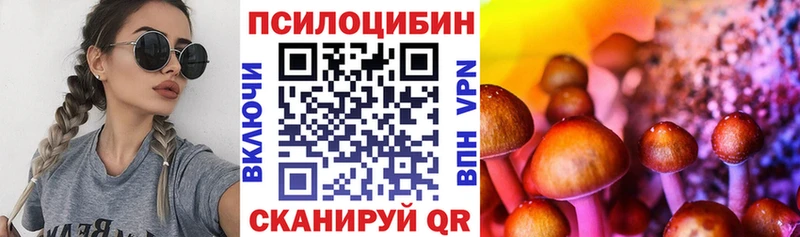 Псилоцибиновые грибы Psilocybine cubensis  blacksprut маркетплейс  Шебекино 